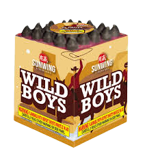SW Wild Boys