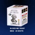 Miracle In God We Trust - 217