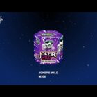 Miracle Jokers Wild - 219