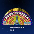 Miracle Proud Peacock - 259