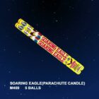Miracle Soaring Eagle - 279