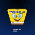 Miracle Sponge Boy - 287