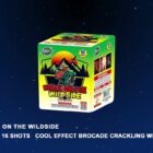 Miracle Walk On The Wild Side - 313