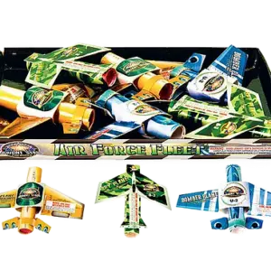 BS Air Force Fleet