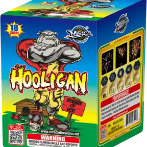 Miracle Hooligan