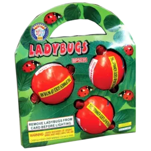 B Ladybugs