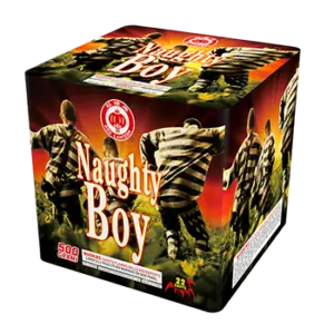 RL Naughty Boy