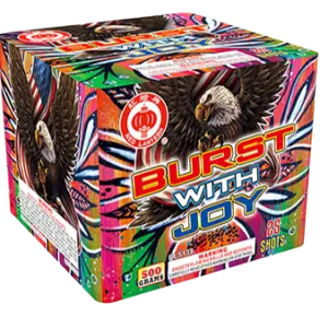 RL Burst With Joy