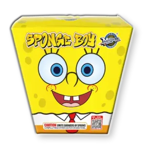 Miracle Sponge Boy