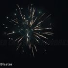 RL Brocade Blaster - 361