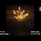 RL Caged Rage - 371