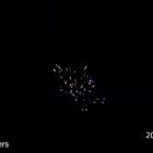 RL Dancing Flowers - 393