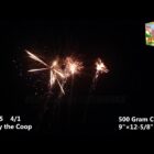 RL Fly the Coop - 409