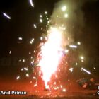 RL Frog Prince/Princess - 411