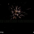 RL Sky Blooming - 475