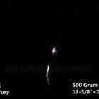 RL Urgent Fury - 529