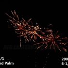RL Whirlwind Palm - 531