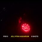 WF 3" JellyFish Aquarium - 769