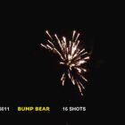 WF Bump Bear - 781