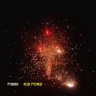 WF Koi Pond - 791