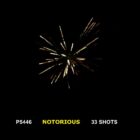 WF Notorious - 795