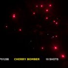Winda Cherry Bomber - 111