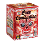 windalacecombustion.png